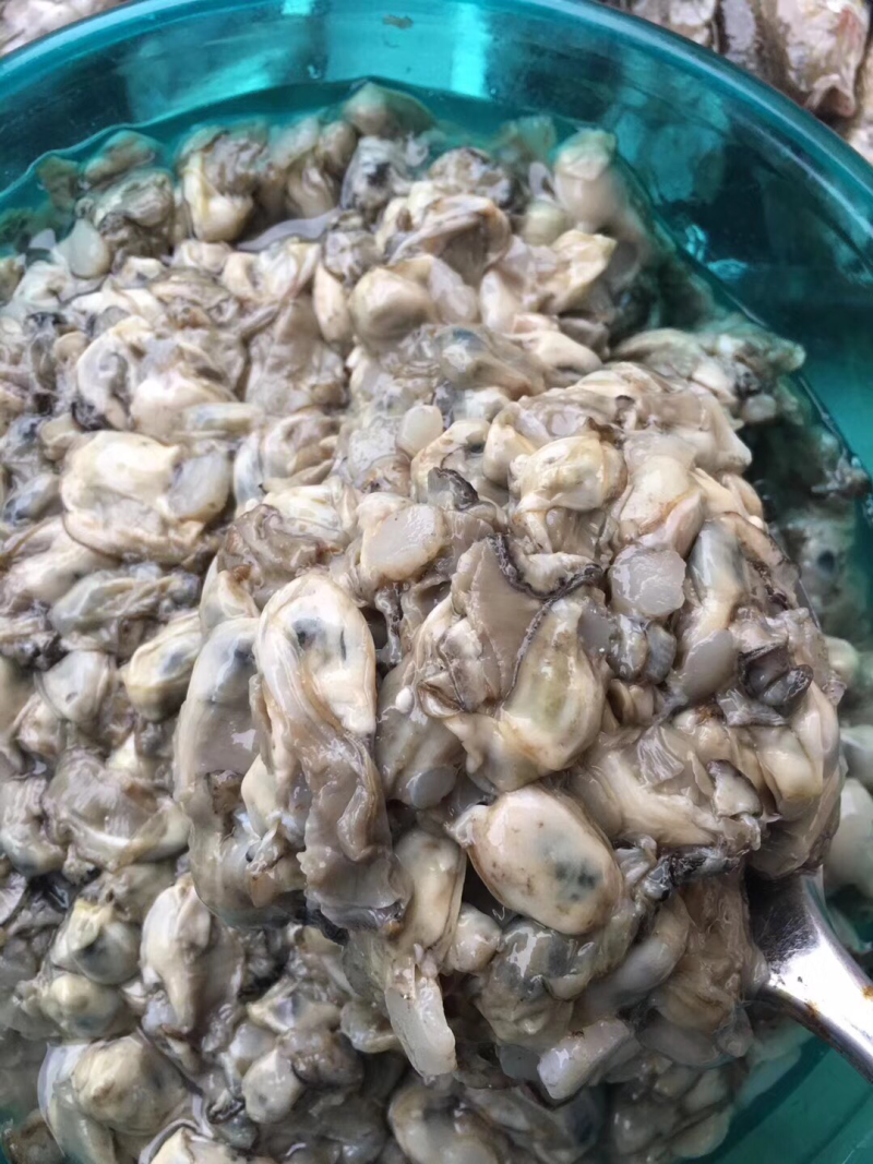 原浆海蛎子