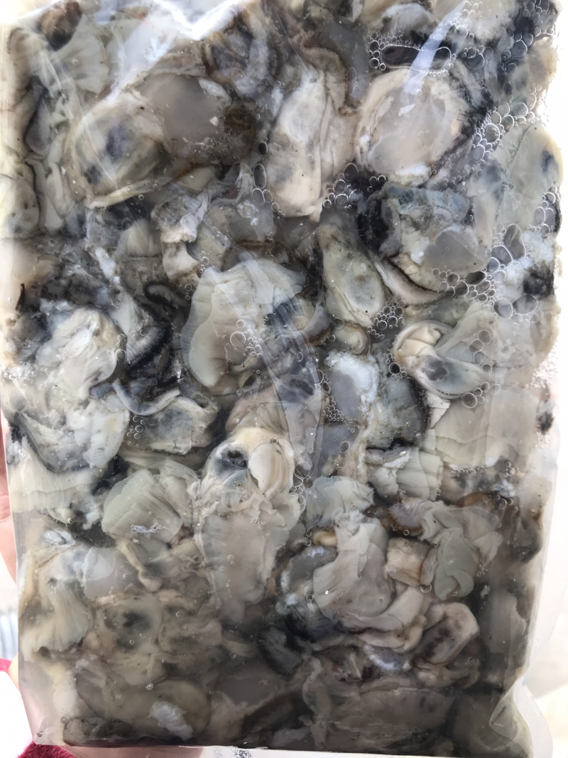 原浆海蛎子