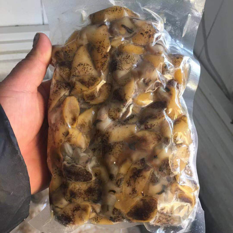 假鲍鱼