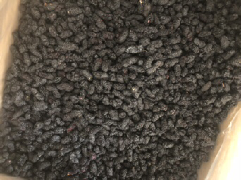 桑葚子黑桑葚桑葚干食用桑葚