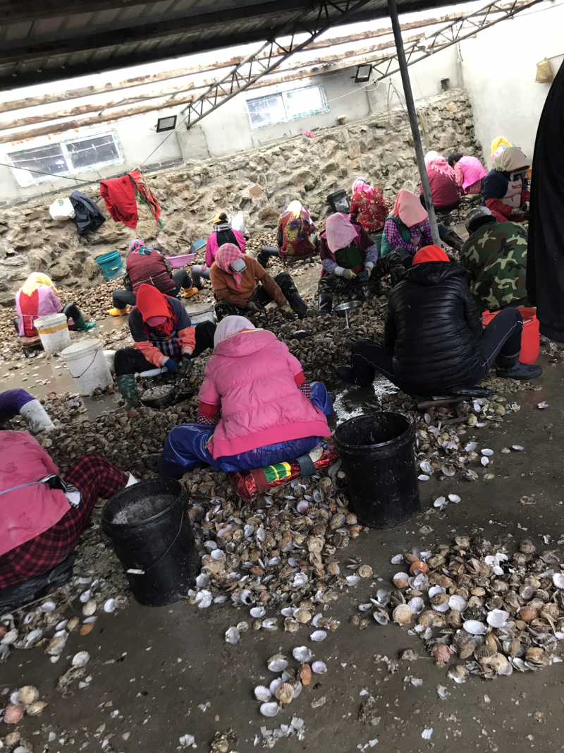 原浆海湾丁