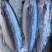 深海海鲜，虾，各种海虾批发