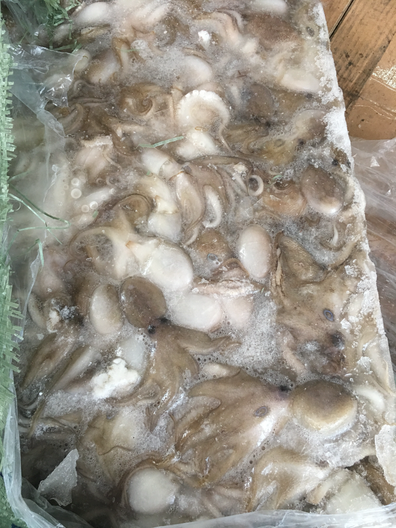 深海海鲜，虾，各种海虾批发