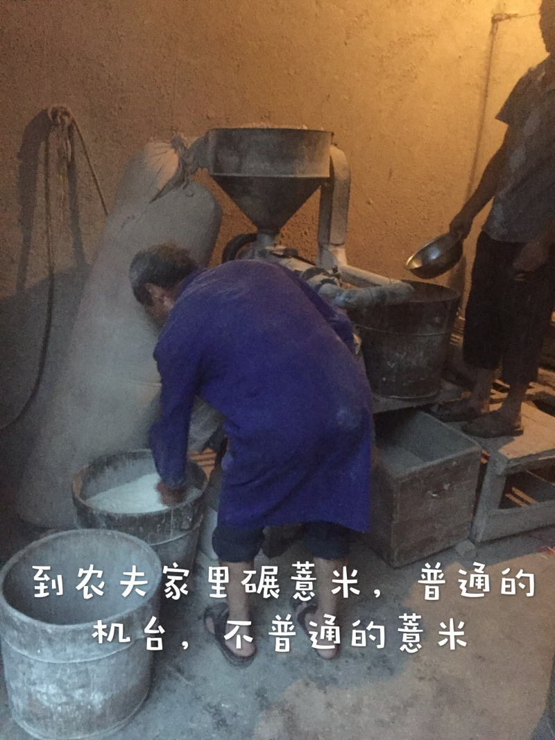 宁化糯薏米零售批发