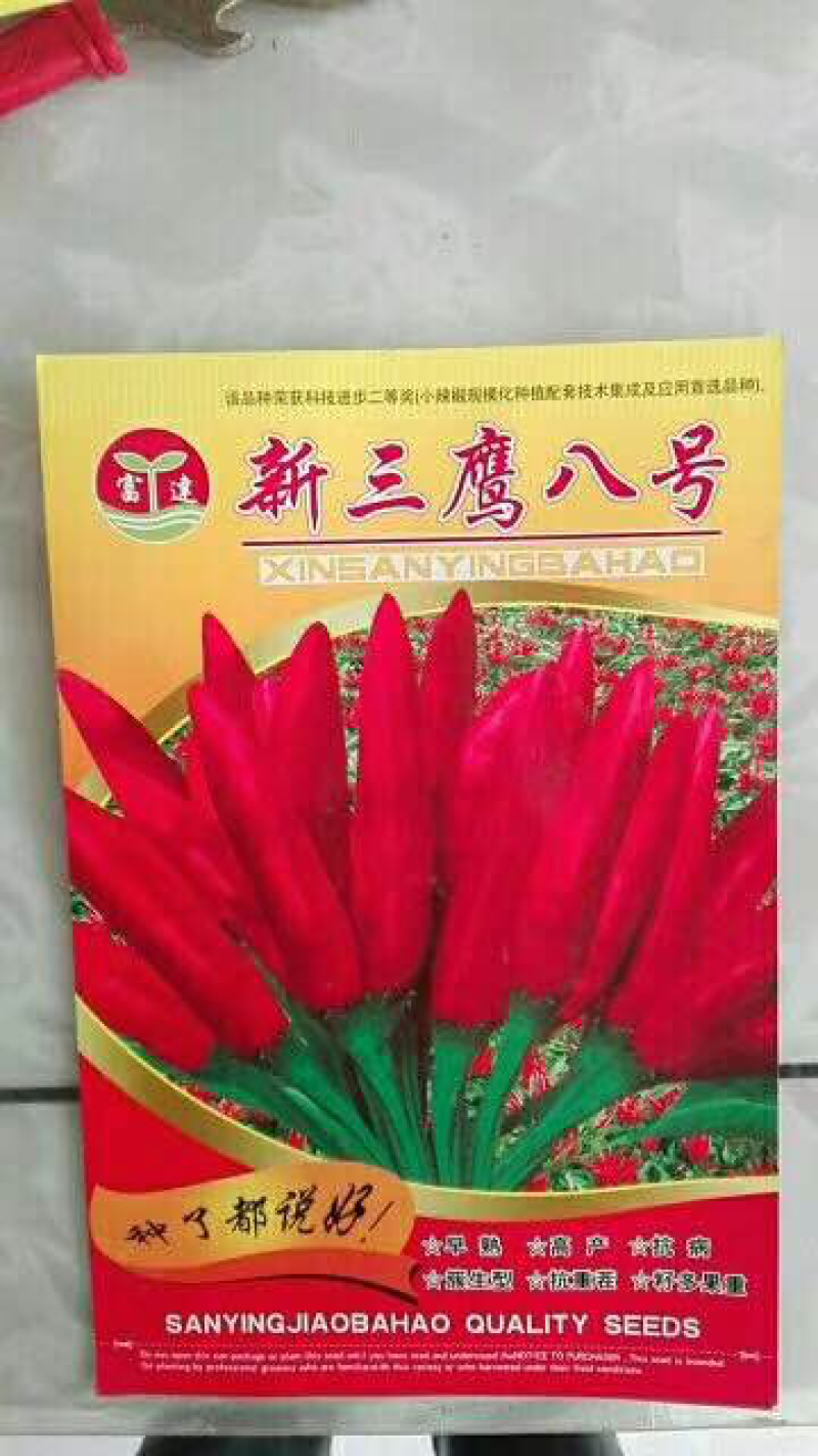 辣椒种子