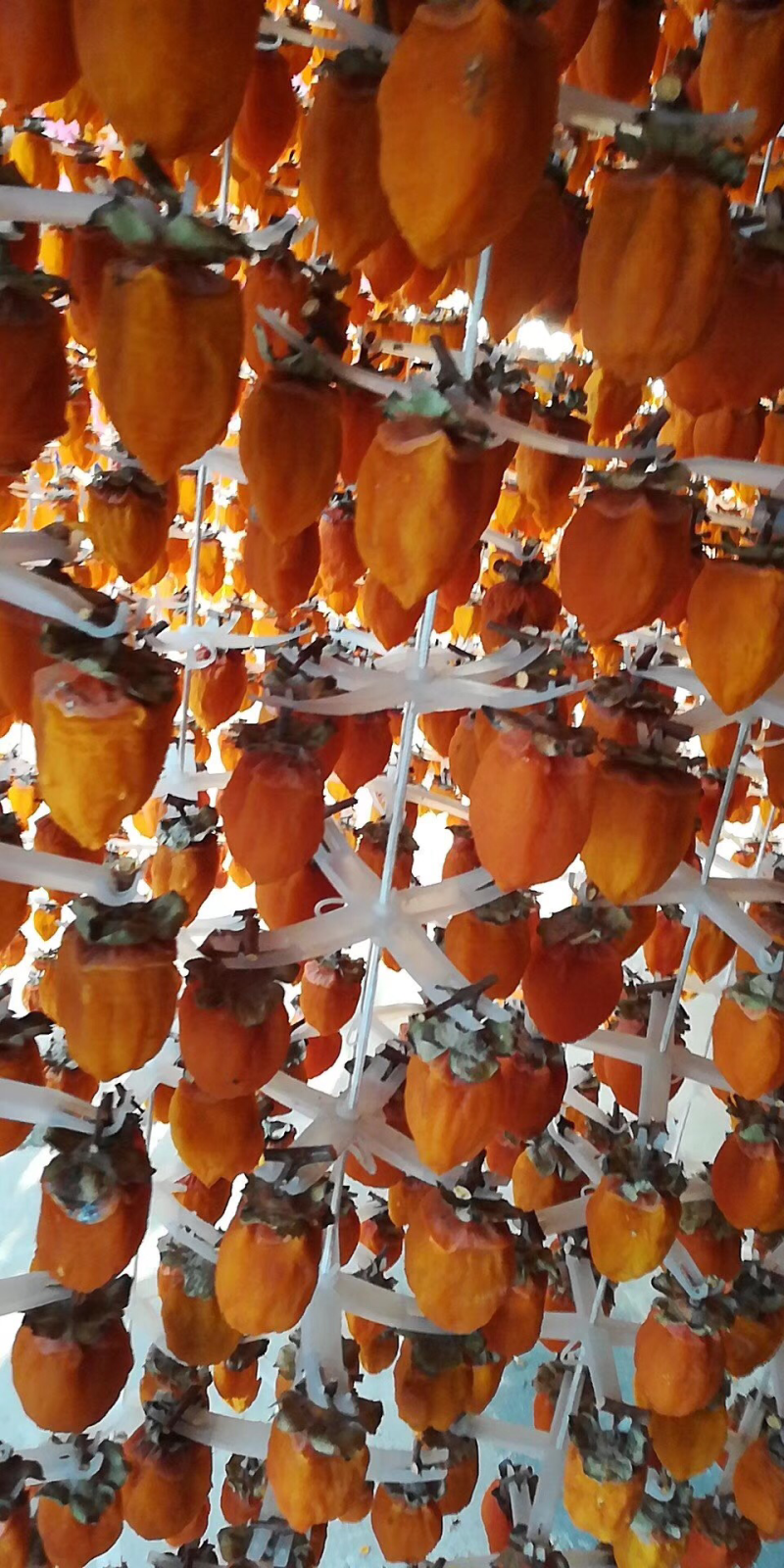 富平特级吊饼