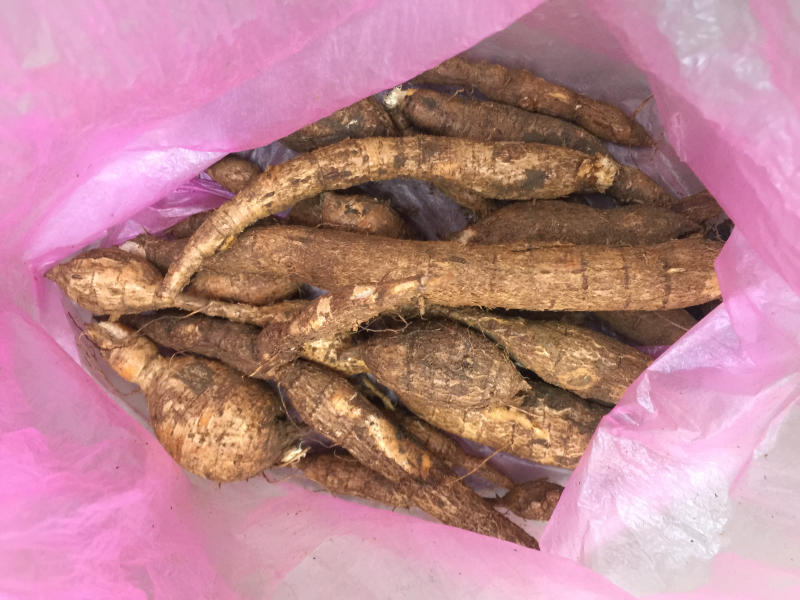 广西马山县野生黑皮牛大力