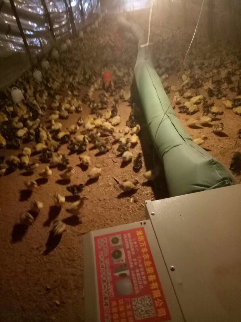 畜牧养殖育雏取暖加温设备养殖暖风机电热风炉