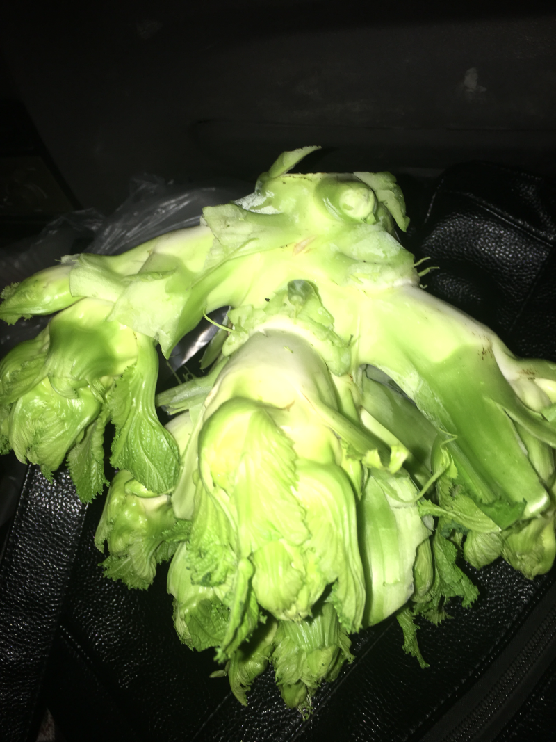 儿菜2斤以上