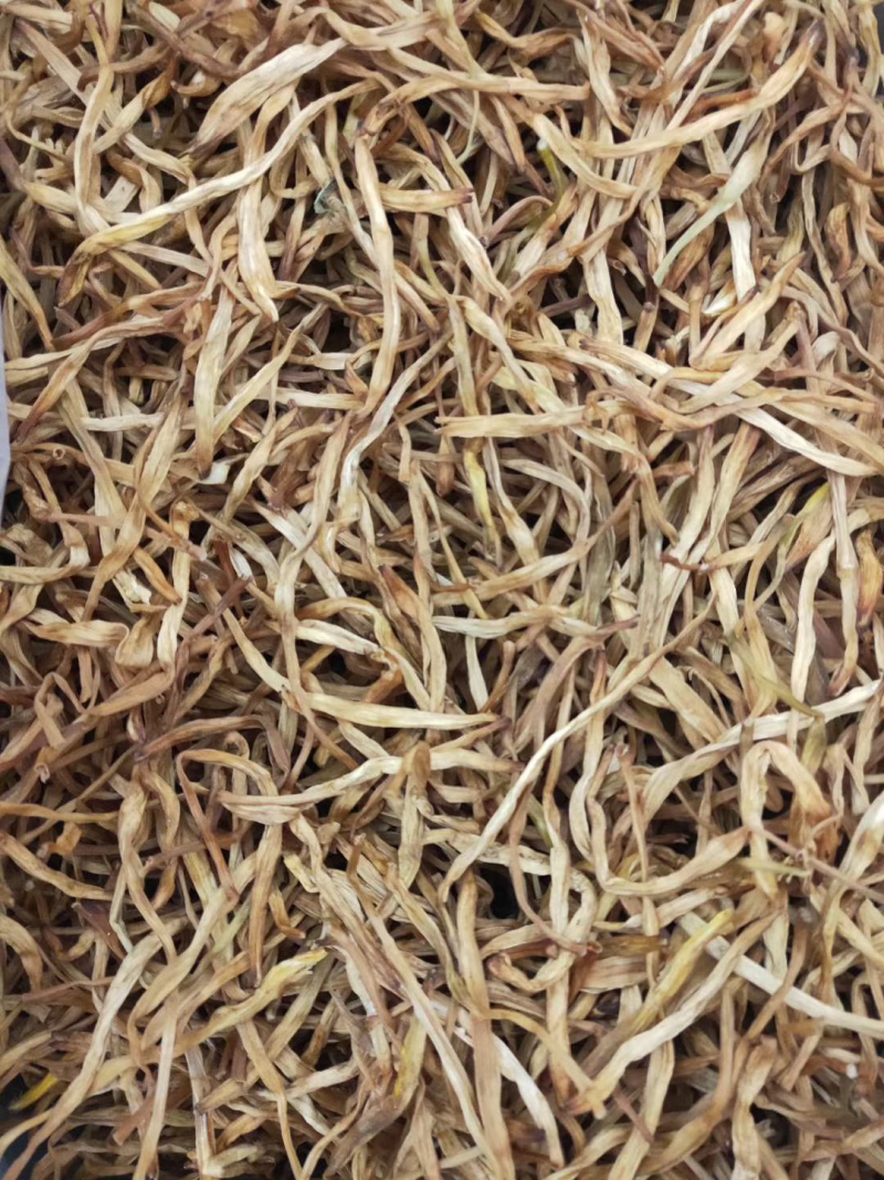 源头产地一手货源黄花菜，萱草，忘忧草，一件代发