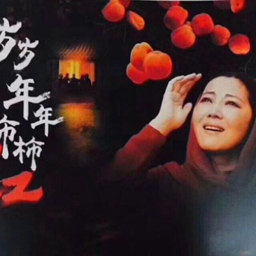 富平自然吊霜柿饼