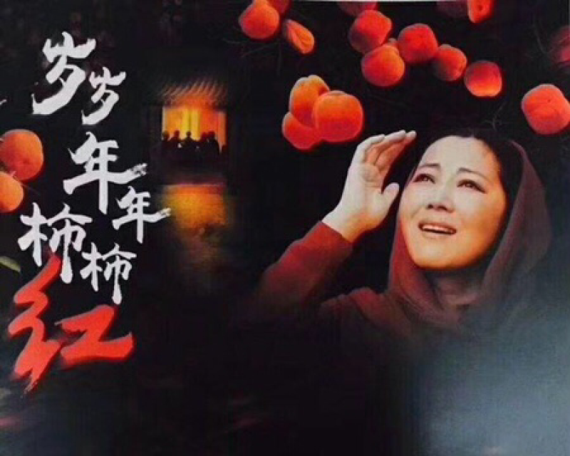 富平自然吊霜柿饼
