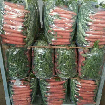 胡萝卜