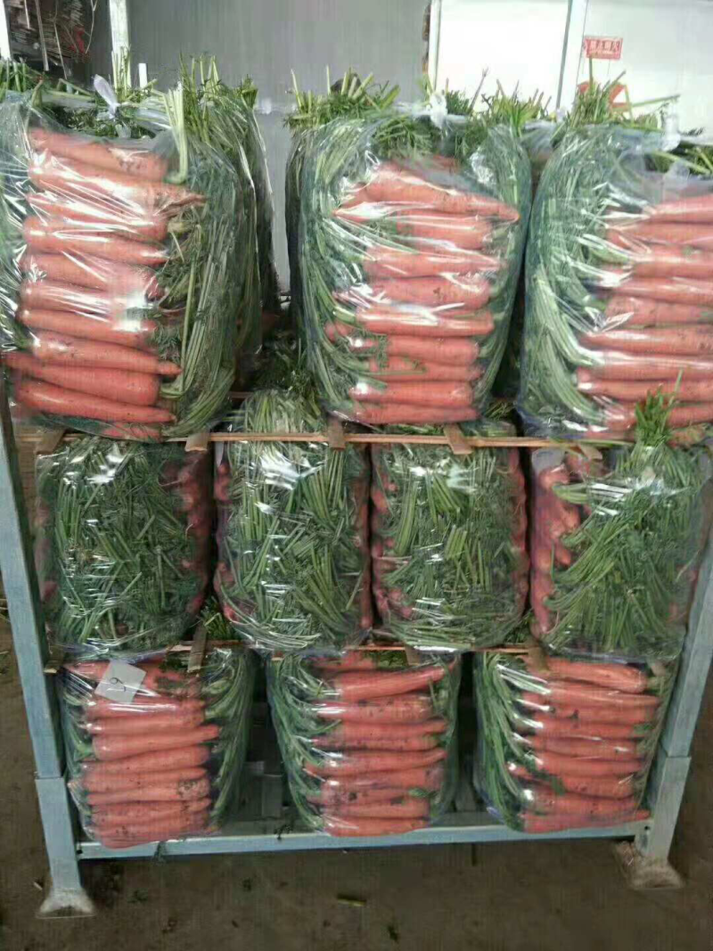胡萝卜