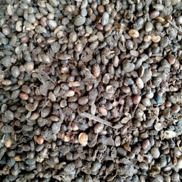 发酵大豆肥