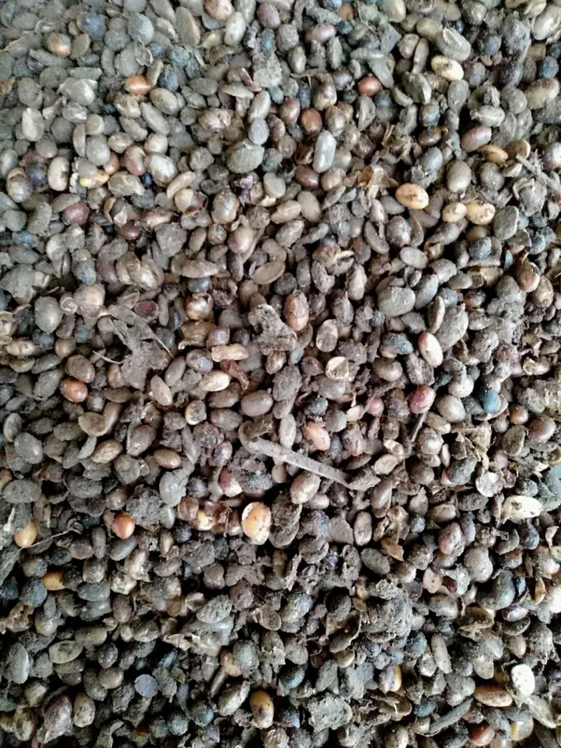 发酵大豆肥