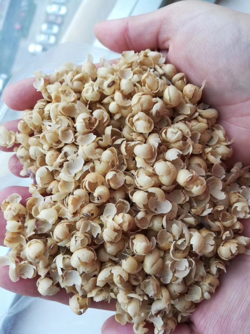 热损豆粕