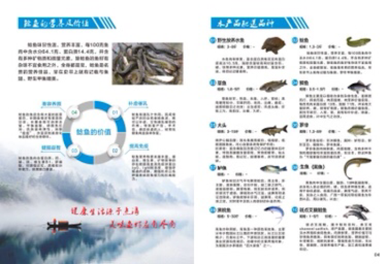 鲶鱼