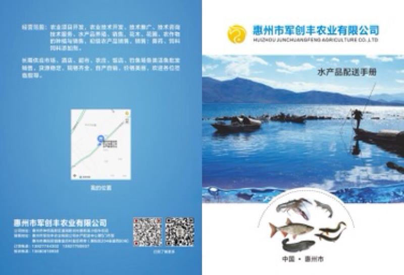 鲶鱼