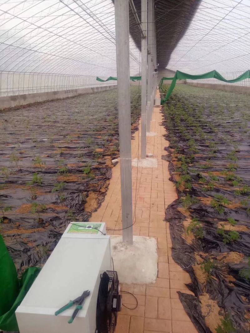 种植大棚育苗供暖加温设备全自动电热暖风机