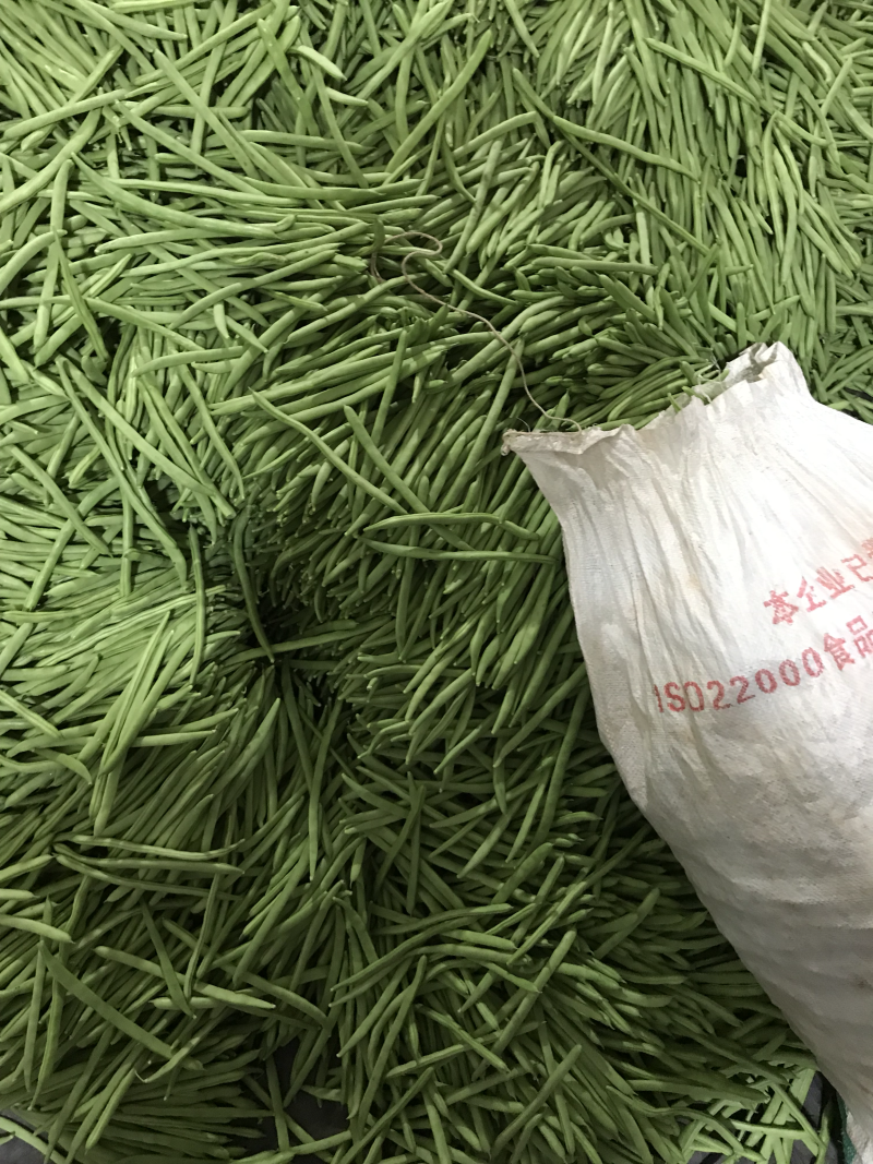 小金豆即将上市，有诚意的联系合作，代办发