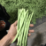 小金豆即将上市，有诚意的联系合作，代办发