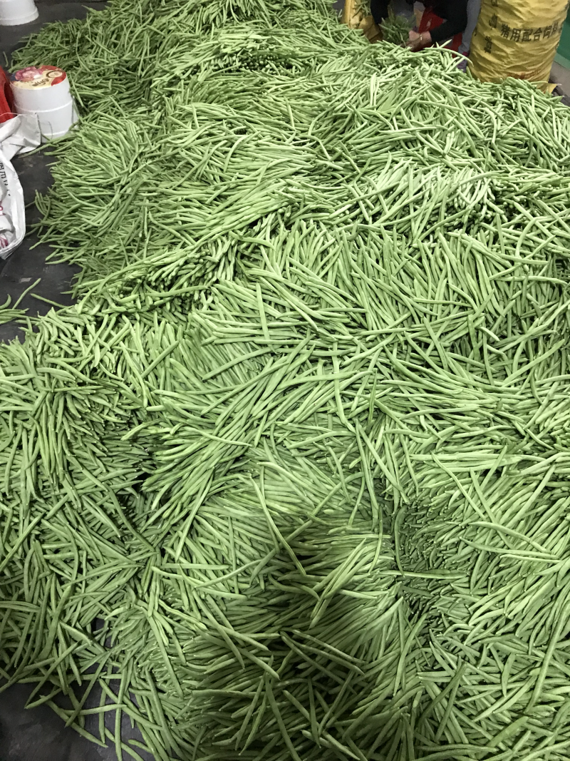 小金豆即将上市，有诚意的联系合作，代办发
