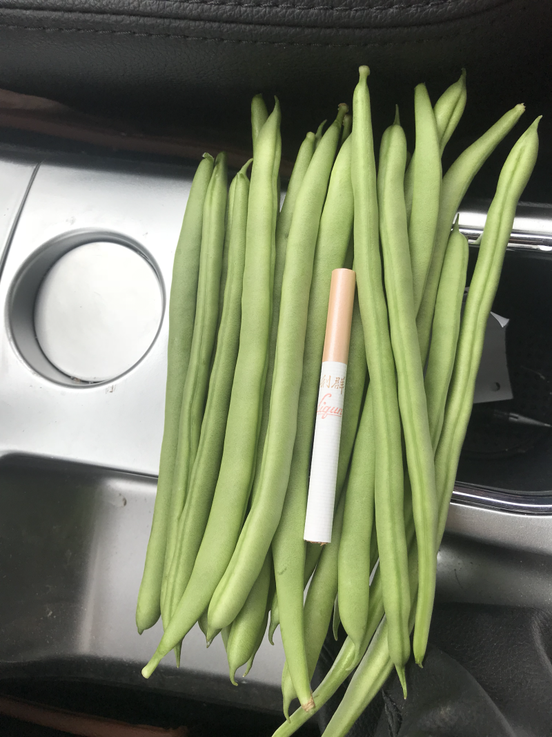 小金豆即将上市，有诚意的联系合作，代办发