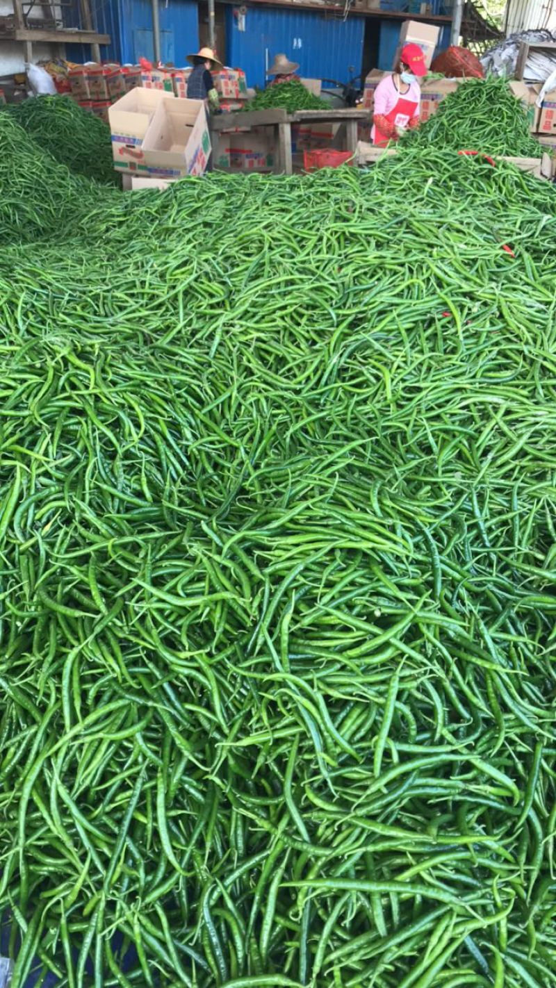三号线
