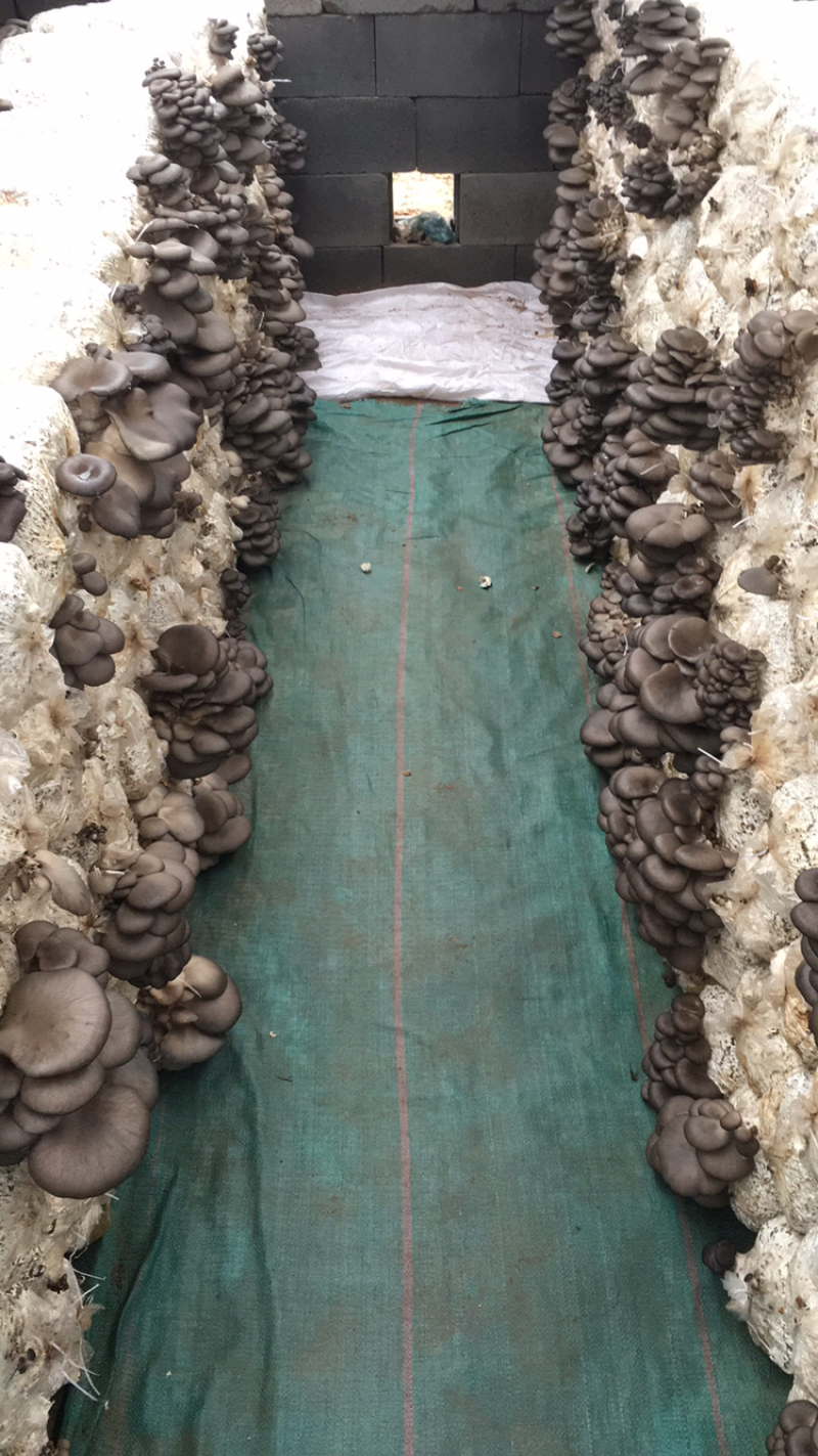基地直供