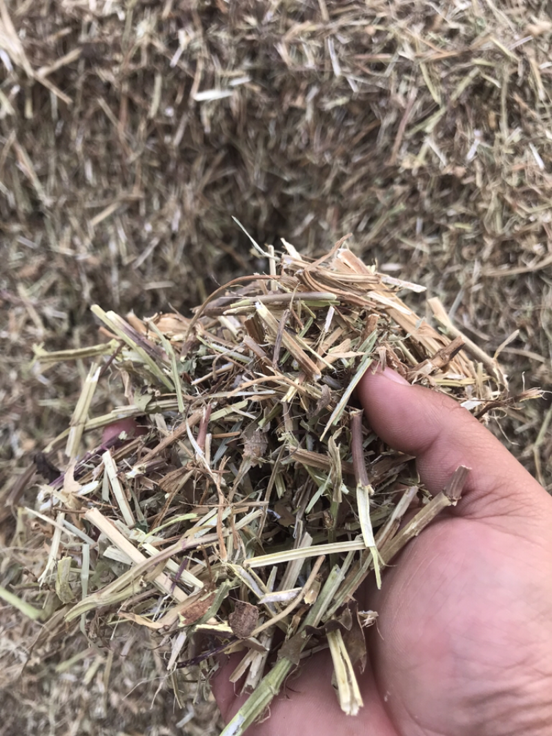 花生秧牛羊原料无土无霉无薄膜2018年新料