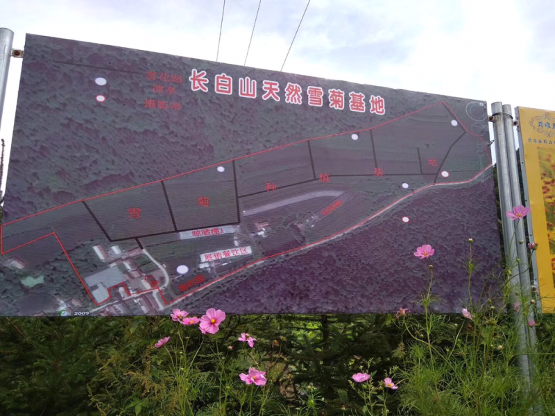 其它