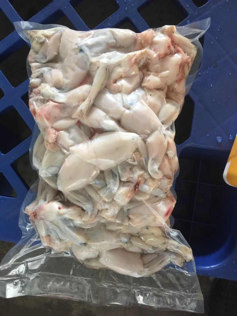 牛蛙