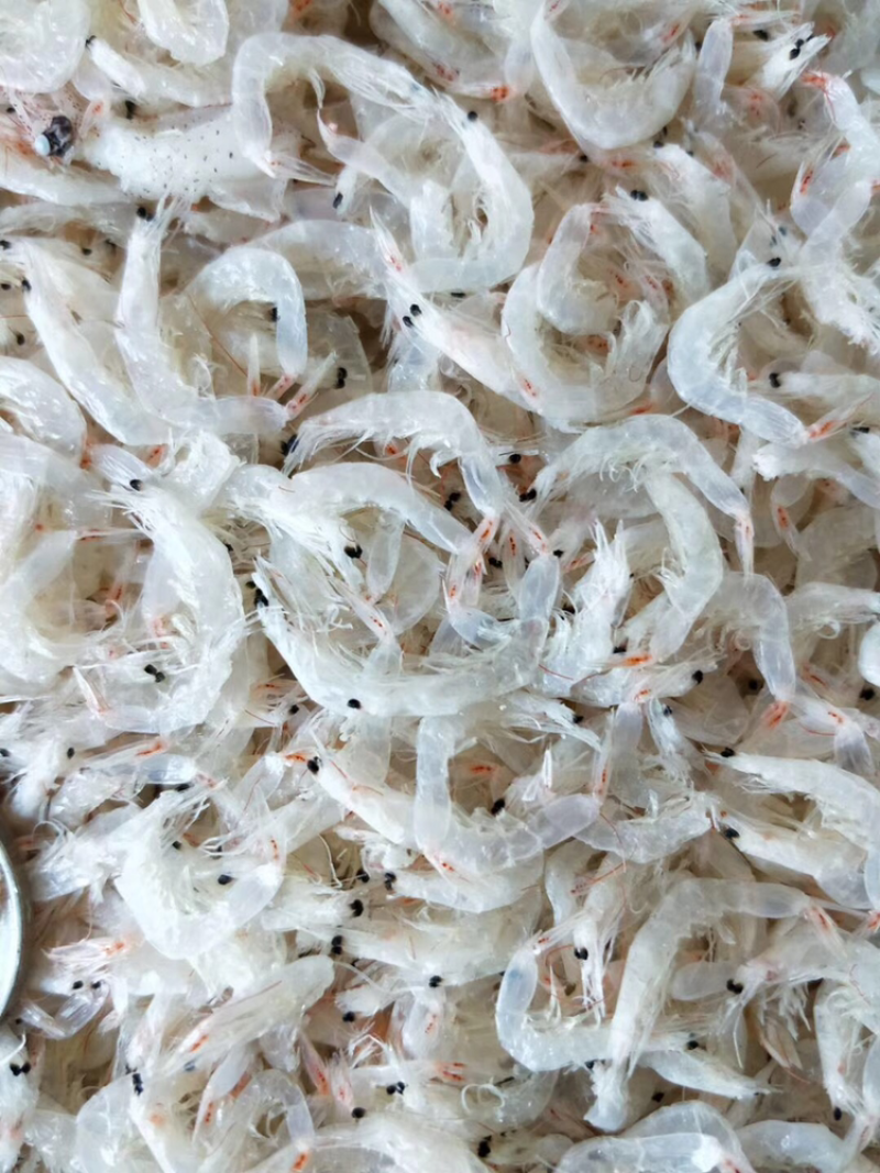 虾皮