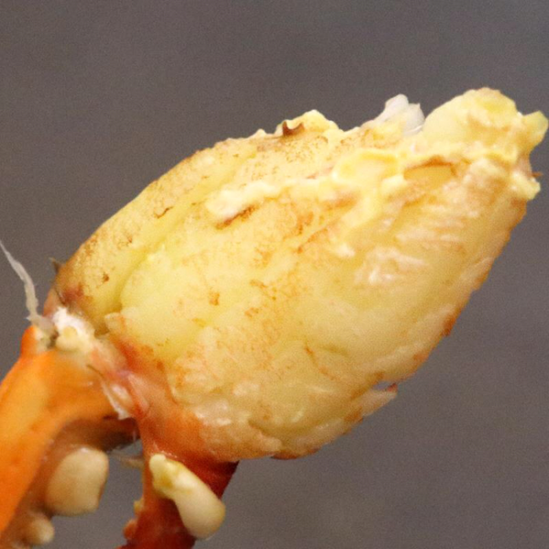 锯缘青蟹两斤装