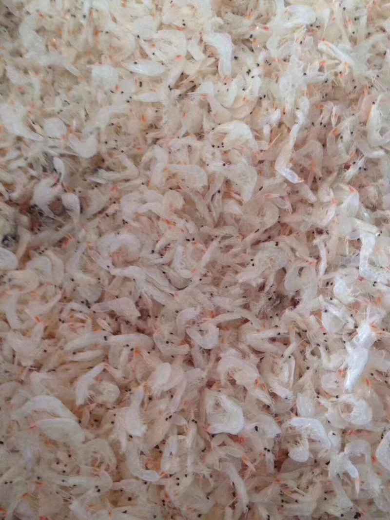 网红特价淡干虾皮，个头均匀饱满，口感鲜香