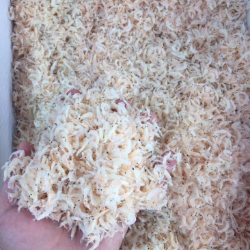 网红特价淡干虾皮，个头均匀饱满，口感鲜香