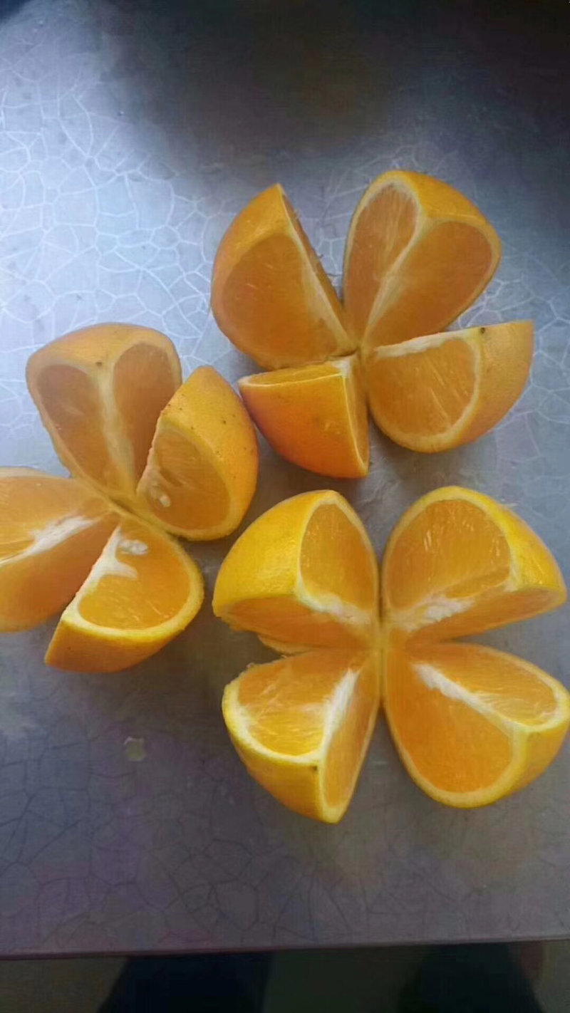 广西金黄橙果，红江橙，白橙，大量货源，欢迎全国客户咨询