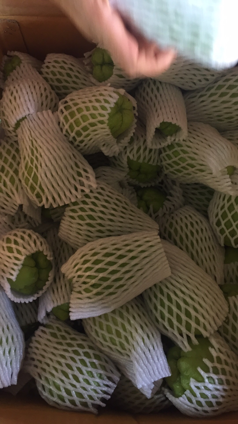 洋瓜佛手瓜
