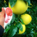 精品红柚1.5斤以上每一粒都是精心挑选、个头均匀