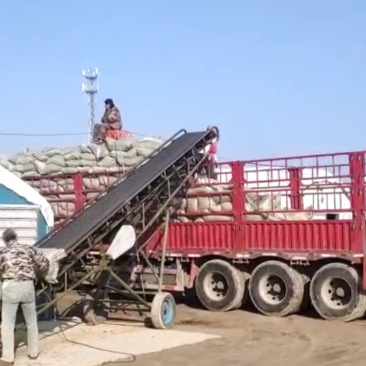 纯羊粪，高质量有机肥，无杂质，干度好，纯度高