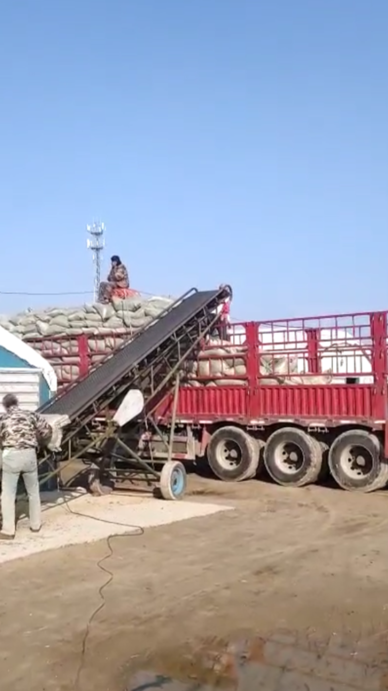 纯羊粪，高质量有机肥，无杂质，干度好，纯度高