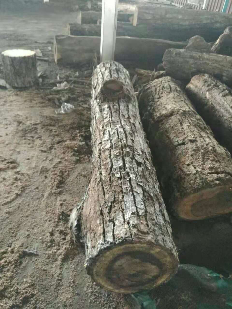 相思木炭