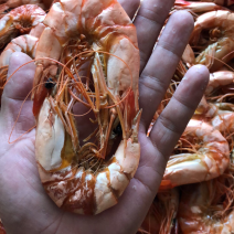 虾干，厂家直销