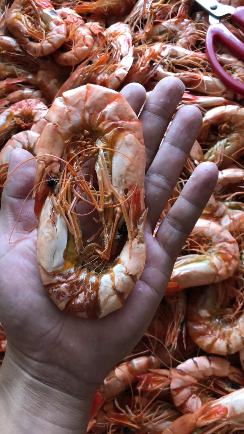 虾干，厂家直销