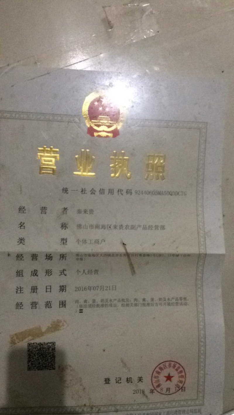 广西黄沙鳖