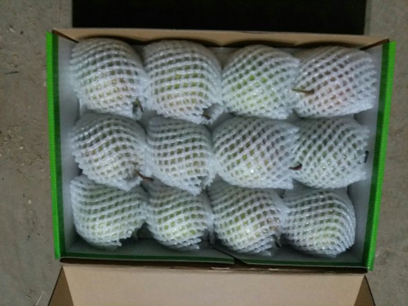 玉露香400~450g纸箱