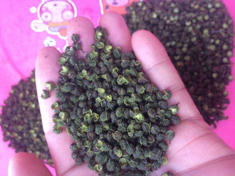 【精品】重庆青麻椒鲜花椒湿花椒色正味麻价格实惠质量保证