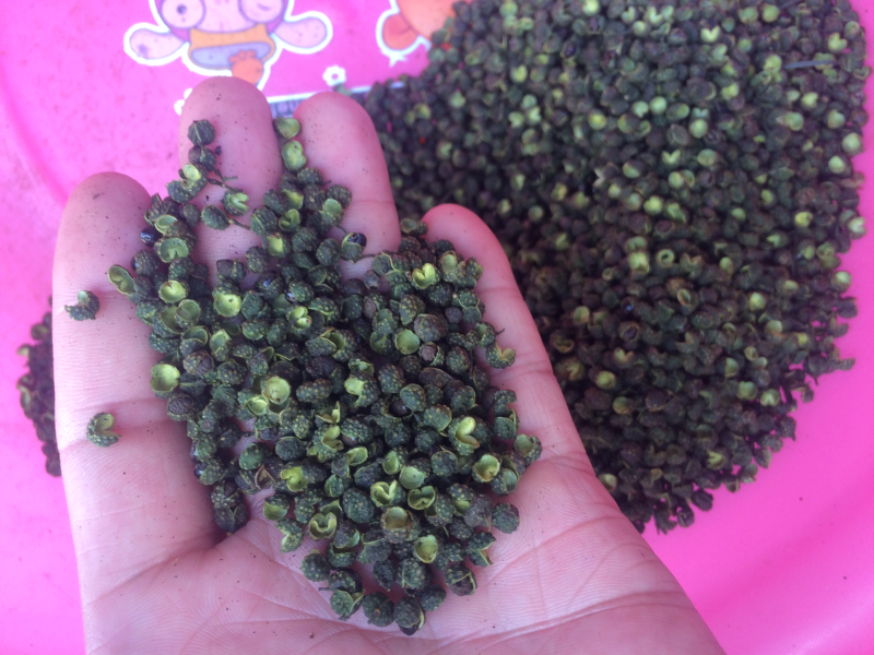 【精品】重庆青麻椒鲜花椒湿花椒色正味麻价格实惠质量保证
