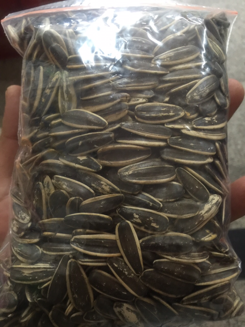 瓜子是最好的多味瓜子零食的最快